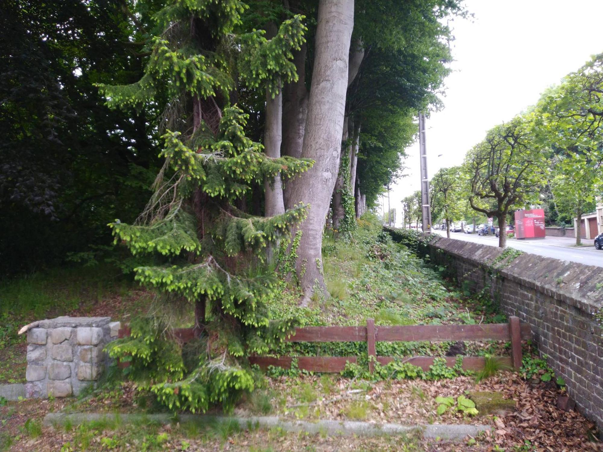 Le Domaine Des Roches, Auberge Collective Villa Dieppe Cameră foto